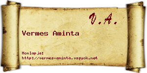 Vermes Aminta névjegykártya